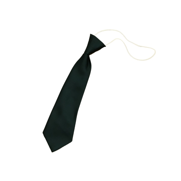 Bunbury Aldersey - Bunbury Aldersey Elasticated Tie, Bunbury Aldersey CE Primary School