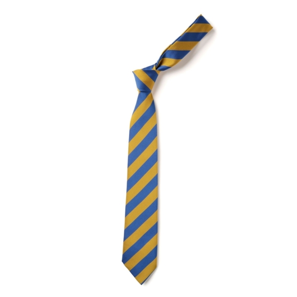 Elworth C of E - Elworth CE Tie, Elworth CE Primary School