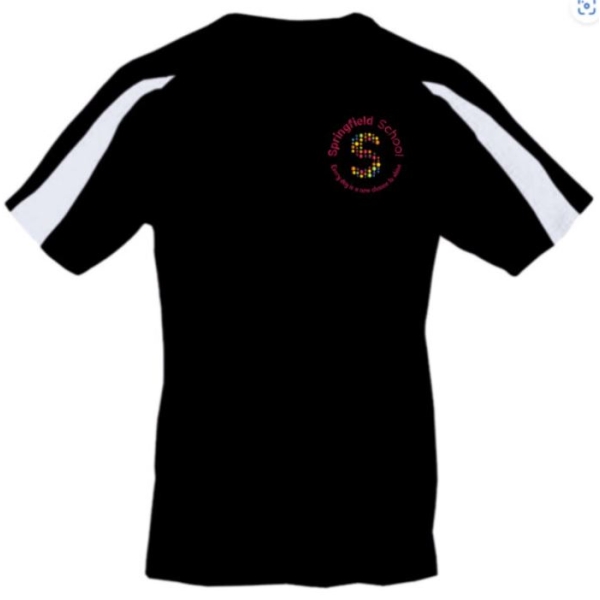 Springfield School - Springfield PE T-Shirt (Adult Sizes), Springfield School