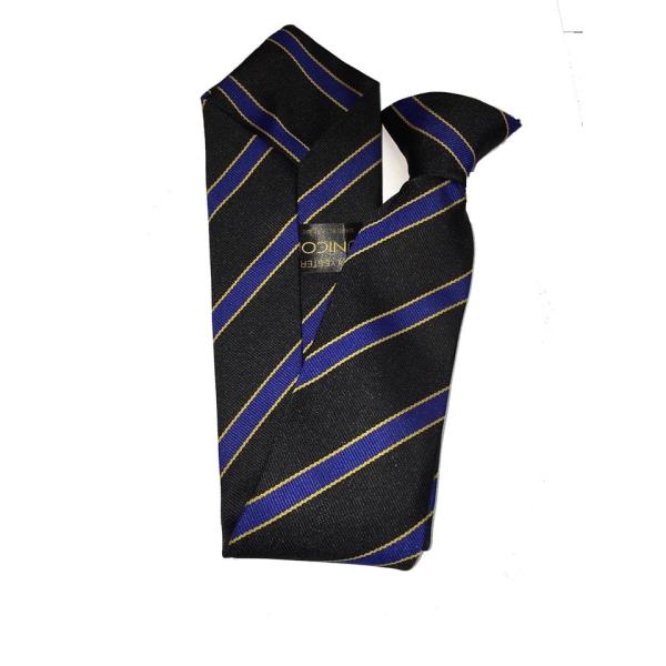Holmes Chapel Comprehensive - HCH Clip on Tie, Holmes Chapel Comprehensive